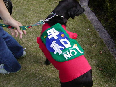 平和犬1.JPG