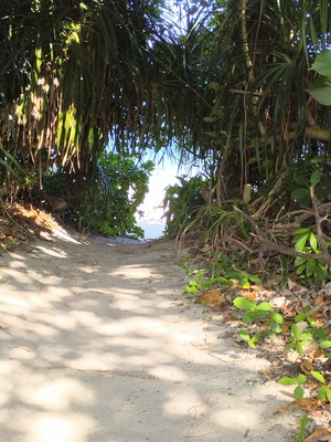 IMG_20240903_092637.jpg