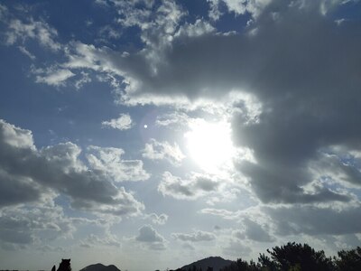 IMG_20250104_093412.jpg