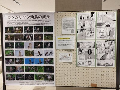 IMG_20250126_112610.jpg