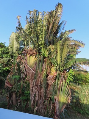 IMG_9053.jpeg