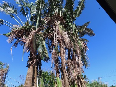 IMG_9059.jpeg