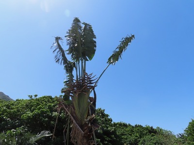 IMG_9072.jpeg